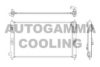 AUTOGAMMA 105216 Radiator, engine cooling